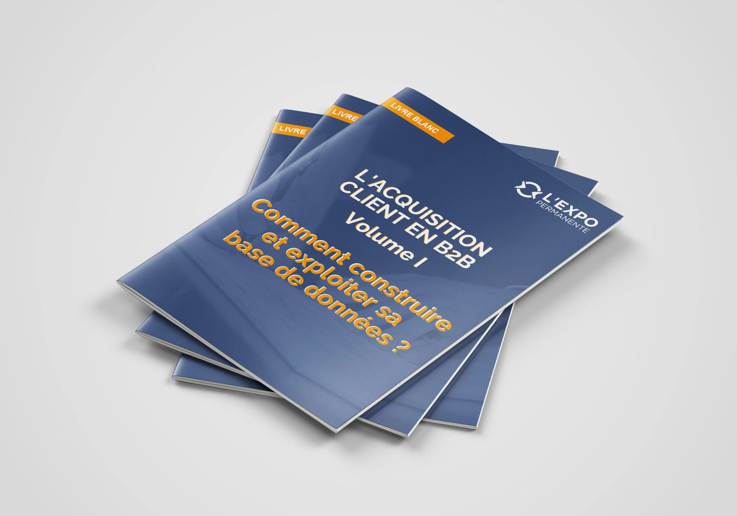 GUIDE DE SURVIE LIVRE BLANC L'ACQUISITION CLIENT EN B2B Volume I